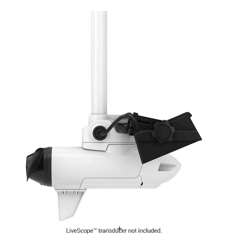 {{ title }} - Onautica