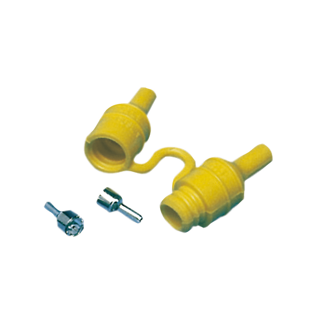 {{ title }} - Onautica