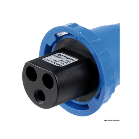 {{ title }} - Onautica