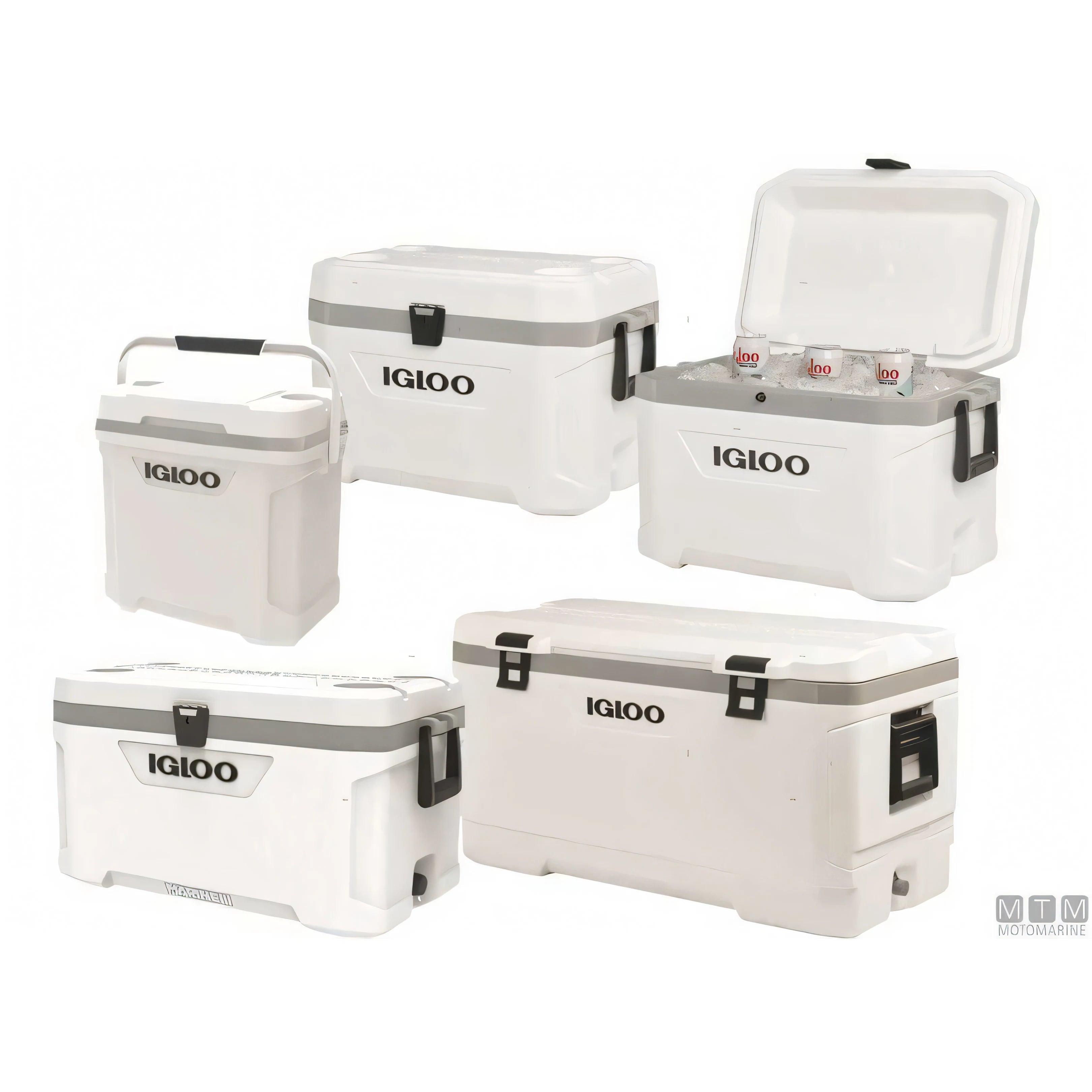 Igloo Marine Ultra ghiacciaia in ABS