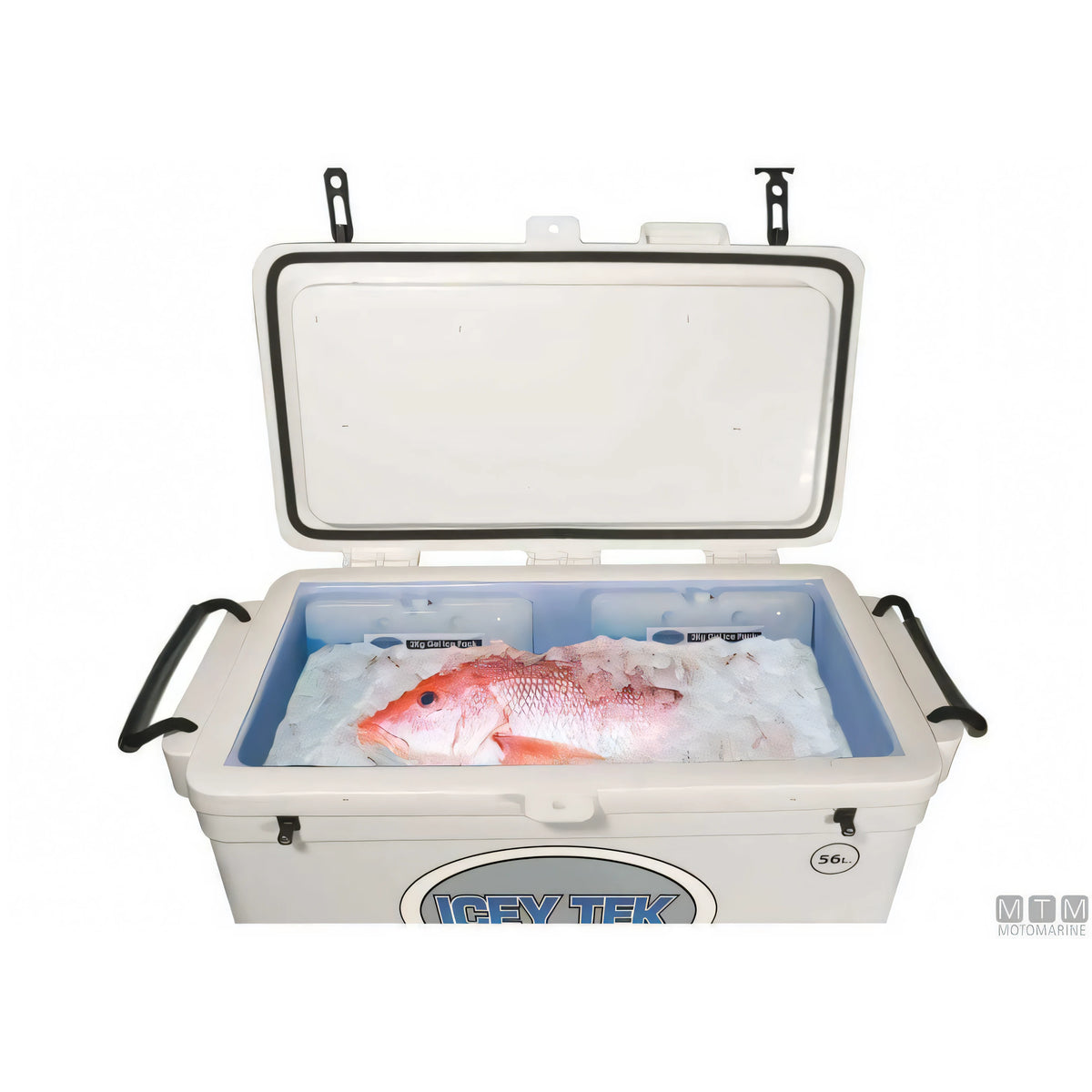 Ghiacciaia professionale Icey Tek in polietilene — 56 L