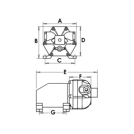 {{ title }} - Onautica