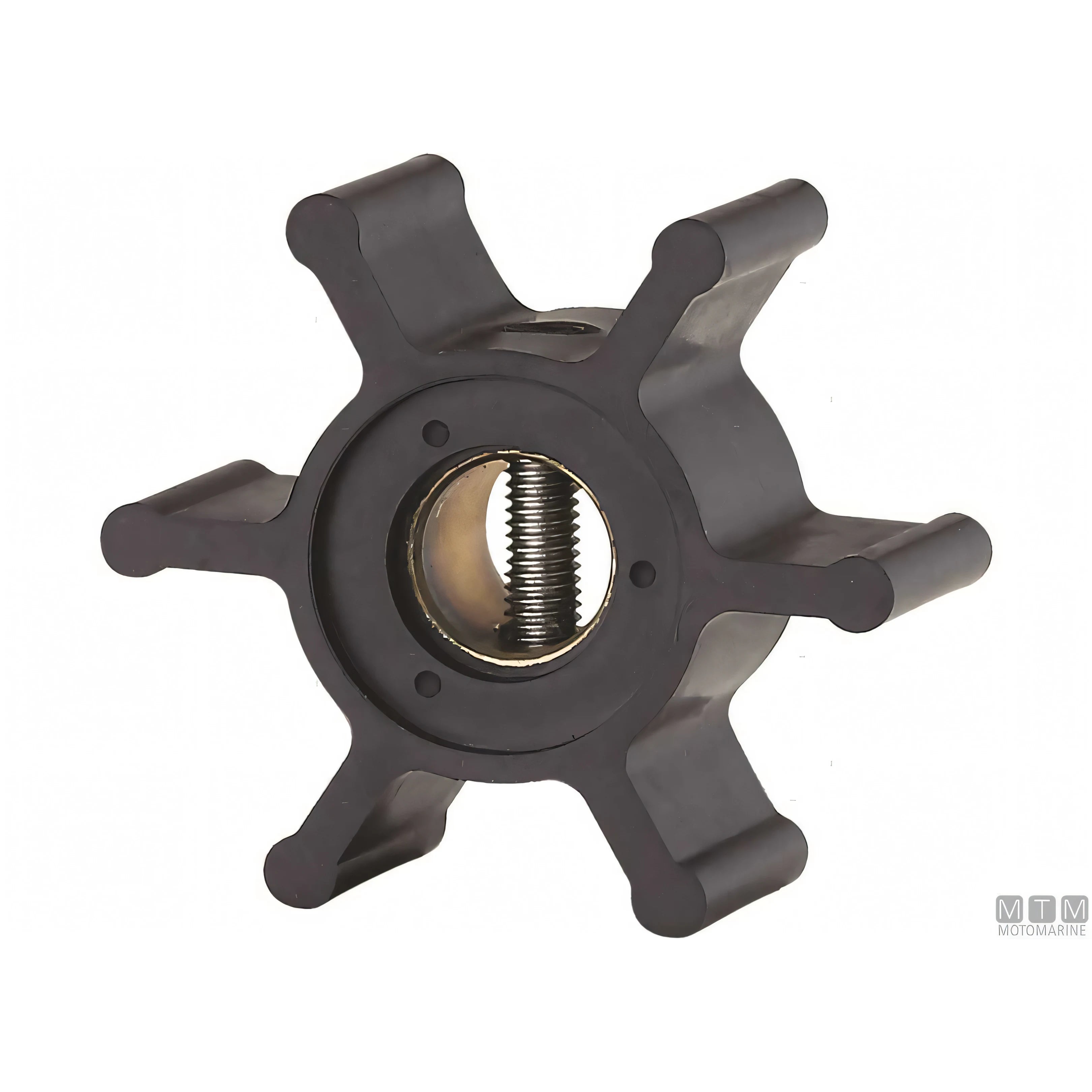 Ancor pompa di raffreddamento ST134 in bronzo con girante in neoprene