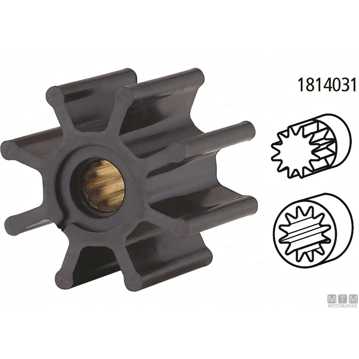 Ancor Pompa di raffreddamento PM36