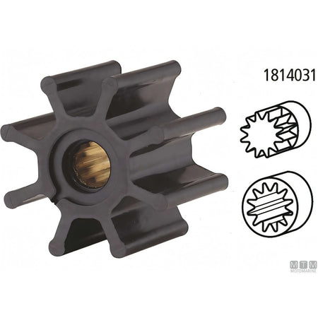 Ancor Pompa Raffreddamento ST150 Bronzo Girante Neoprene
