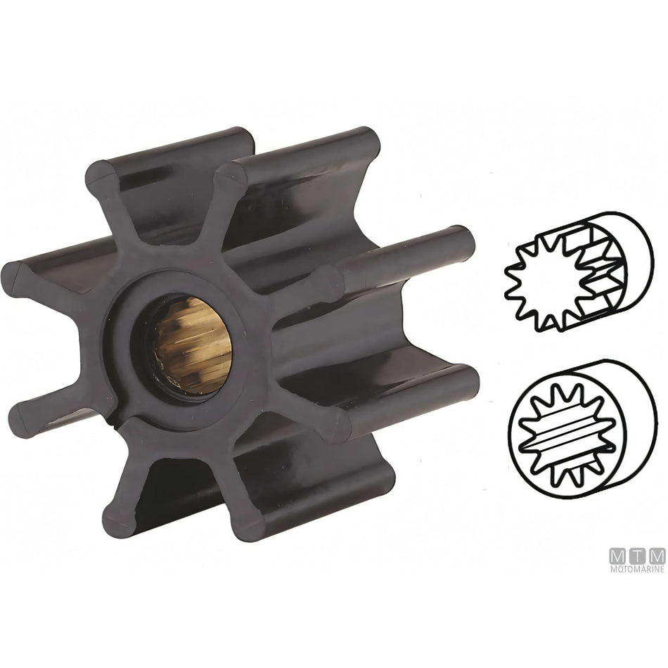 Pompa Ancor con frizione manuale in Bronzo e Acciaio Inox