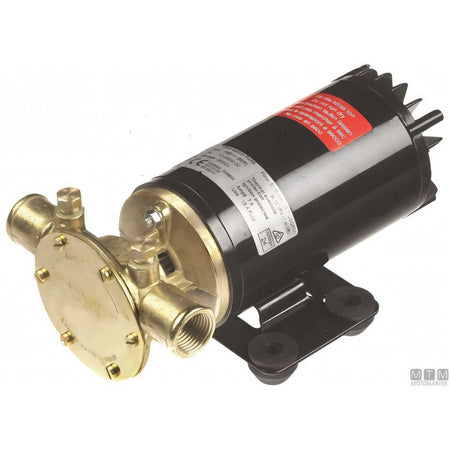 Johnson pompa acqua ballast F4B-11 F4B-12 F5B-19 — F4B-11 12V