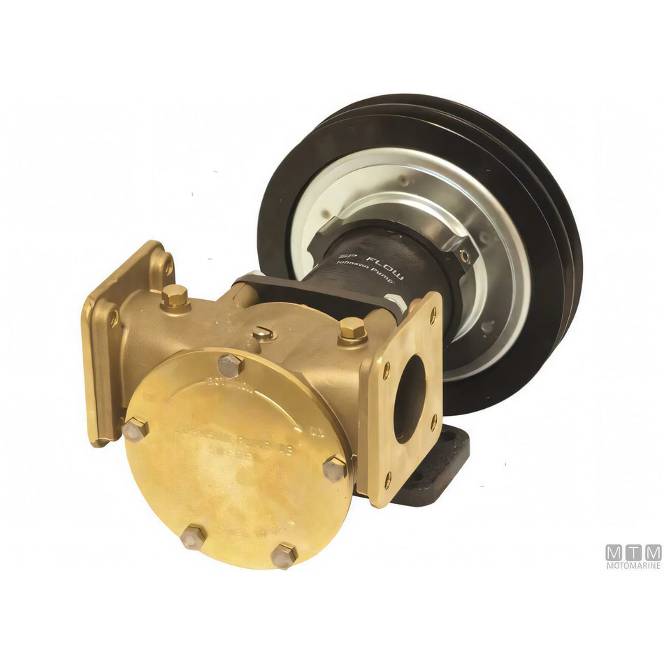 Johnson pompa raffreddamento F8B-5000 VF frizione magnetica bronzo — Pompa completa