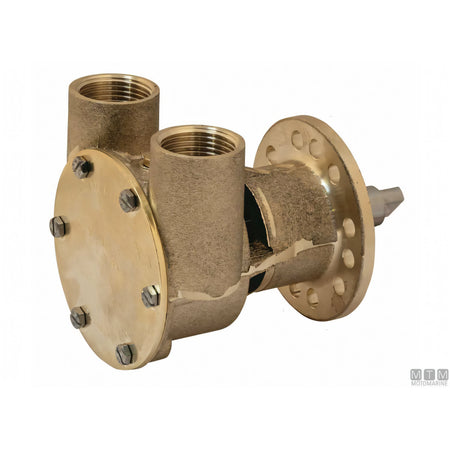 Johnson pompa raffreddamento motore F5B-9 girante in neoprene — Pompa completa F5B-9