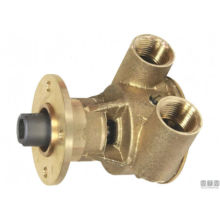 Pompa raffreddamento Johnson F5B-9002 e girante in neoprene — Pompa completa