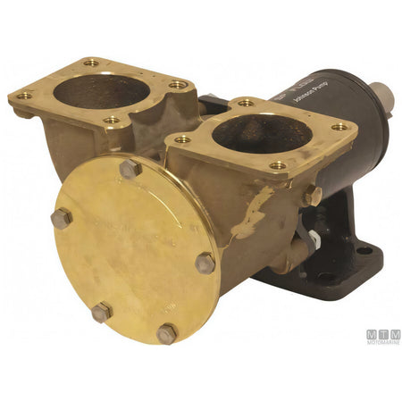 Pompa raffreddamento Johnson FB-3000 — F8B-3000 VF