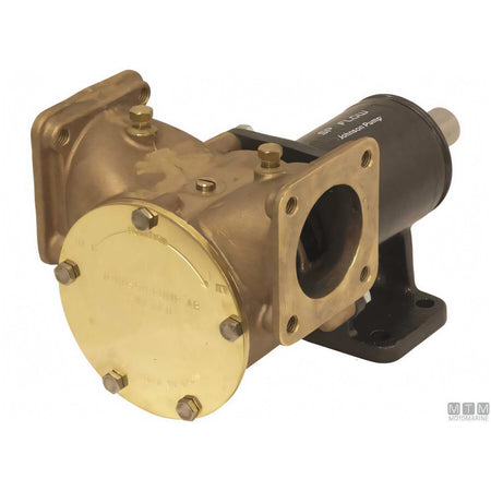 Pompa raffreddamento Johnson FB-3000 — F8B-3000 VF