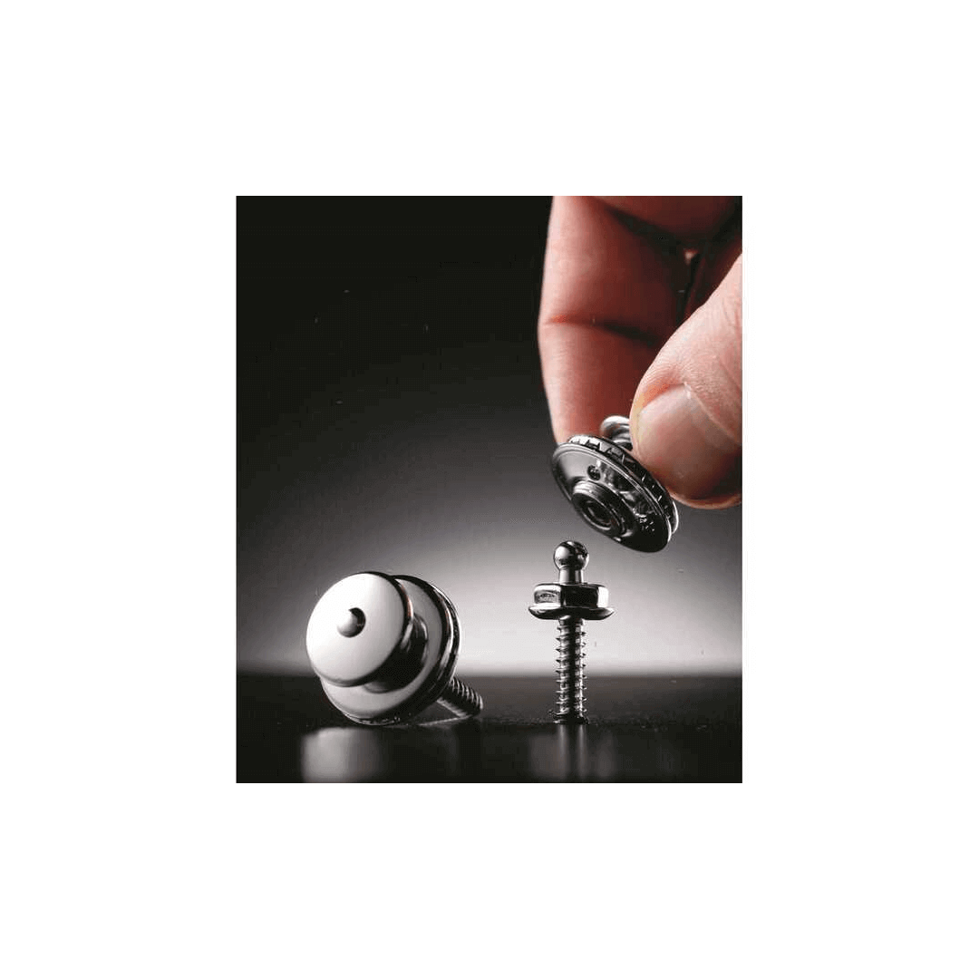 {{ title }} - Onautica