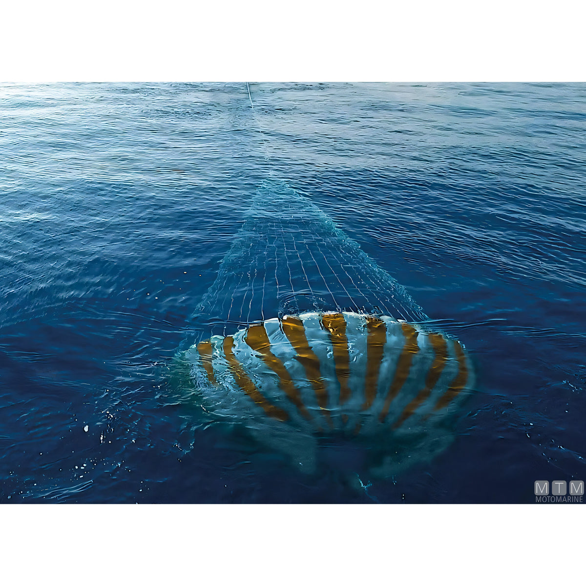 Motomarine Ancora Galleggiante Sea Guardians in nylon — vista 6