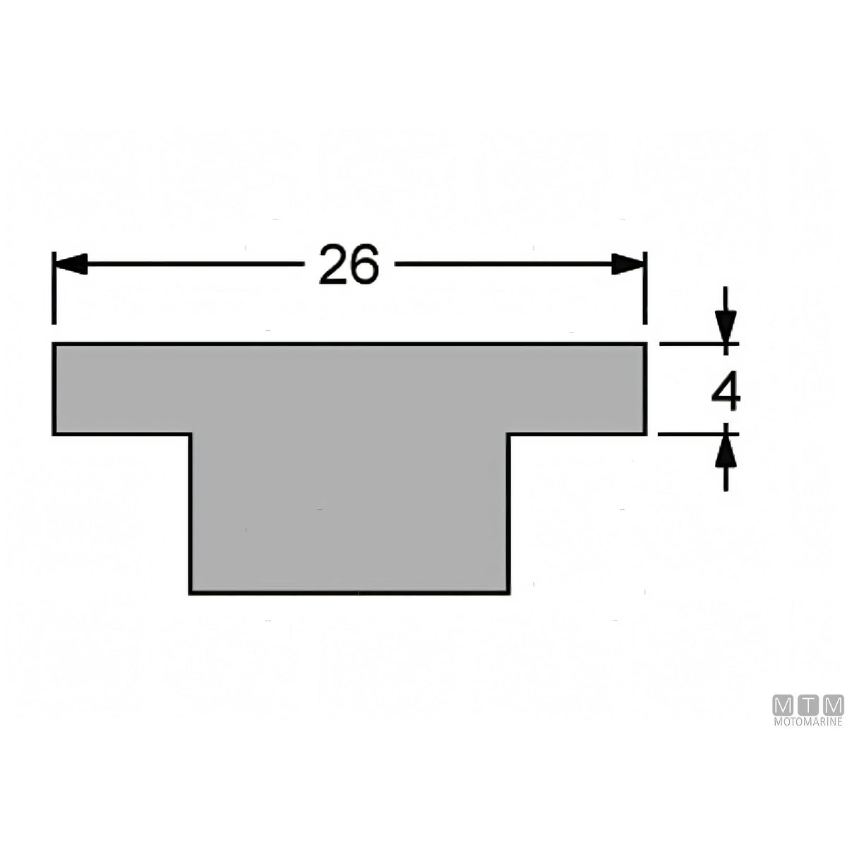 Antal carrello e rotaia Genoa 26x4 mm — Rotaia 2 m