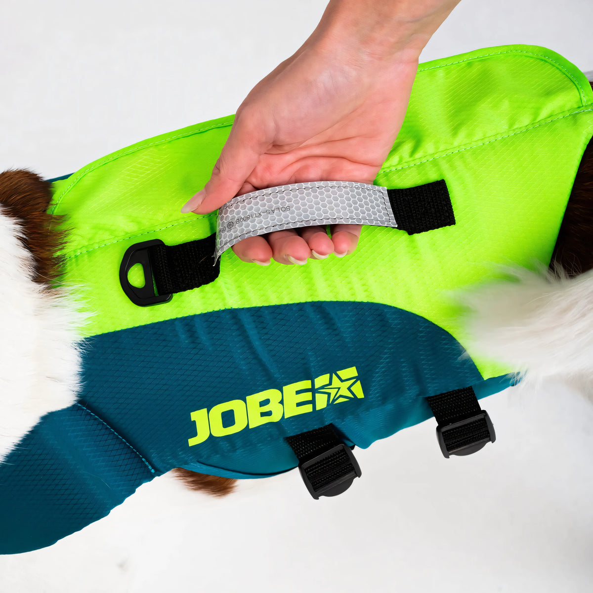 Dettaglio della maniglia riflettente sul dorso del giubbotto Jobe Pet Vest