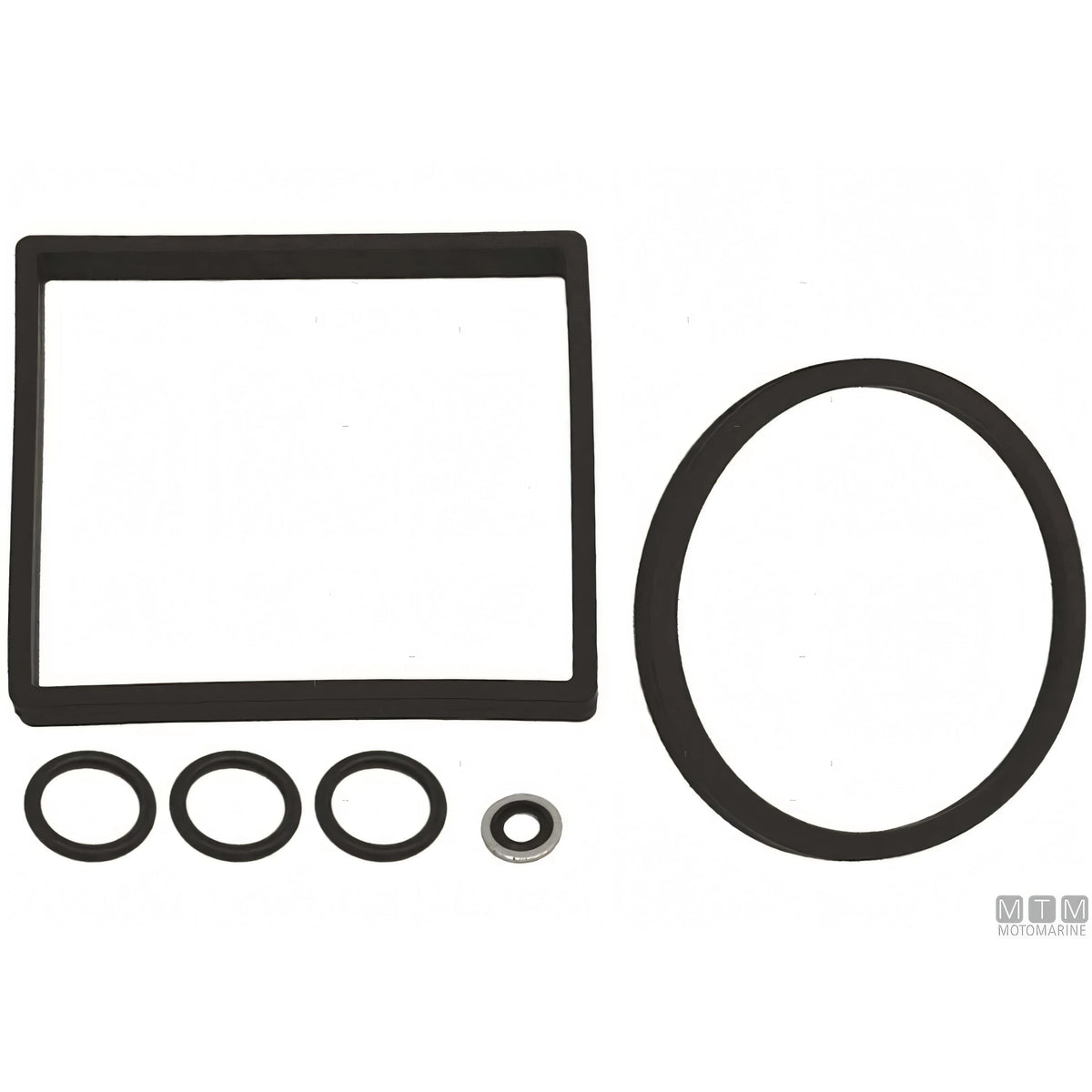 Separ ricambio filtro gasolio serie 2000 — Kit O-ring - 2000/18
