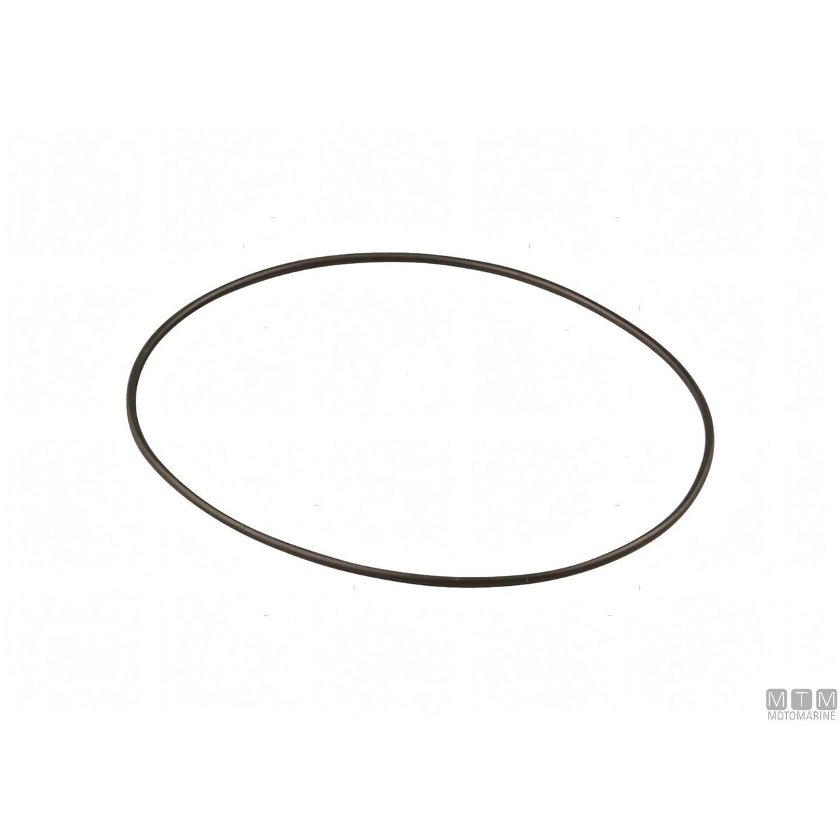Guidi Filtro Acqua di Mare RGXL-1162 — O-ring ricambio (misura B)