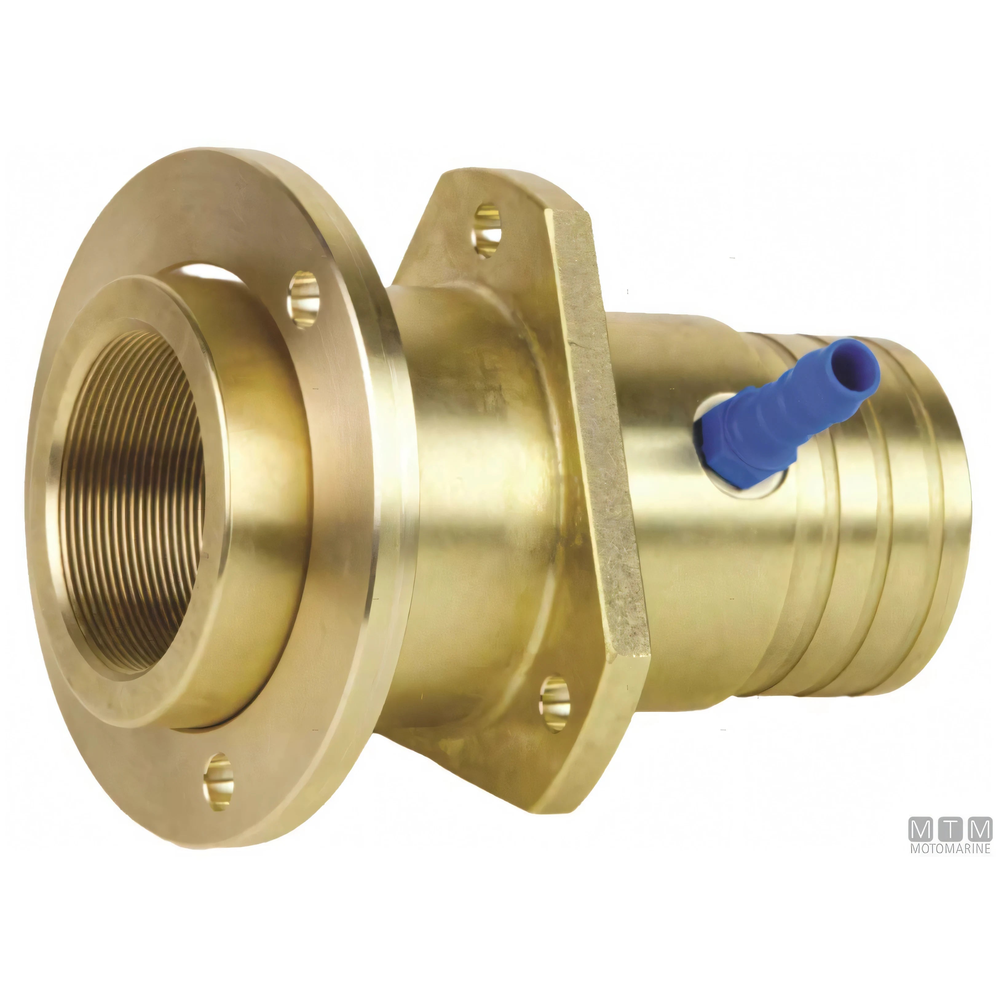 Tor Marine testa portatenuta Stuffy Box in bronzo — Ø 25 mm
