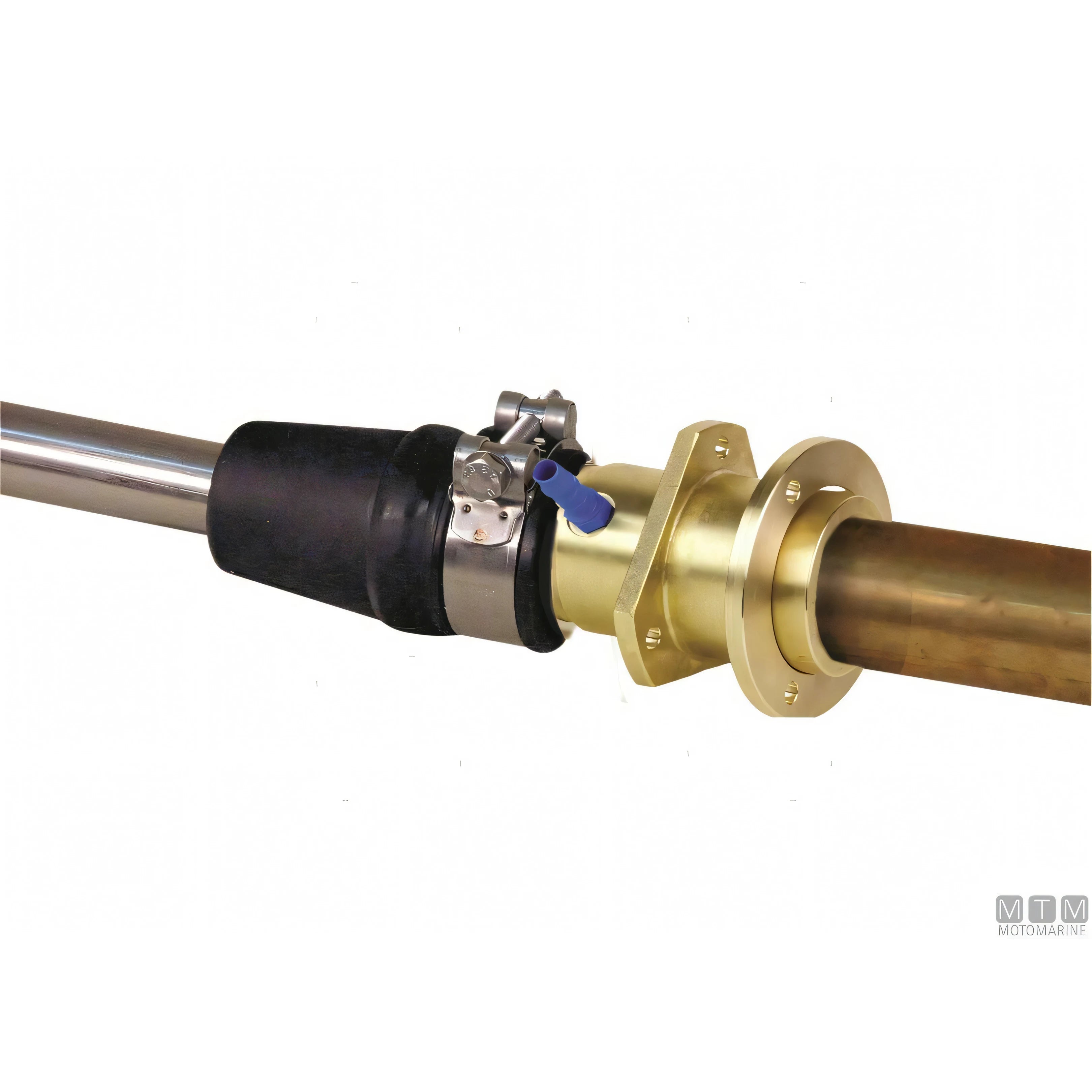 Tor Marine testa portatenuta Stuffy Box in bronzo — Ø 25 mm
