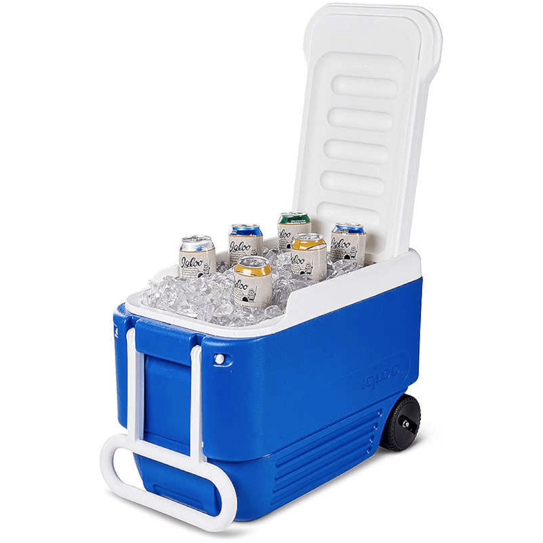 {{ title }} - Onautica