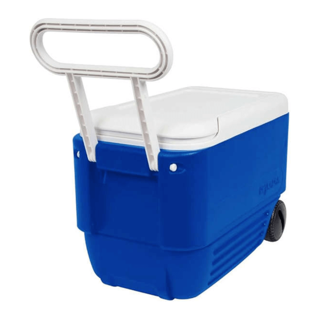 {{ title }} - Onautica