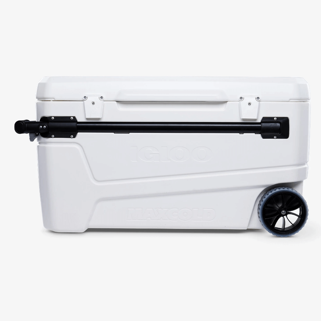 {{ title }} - Onautica