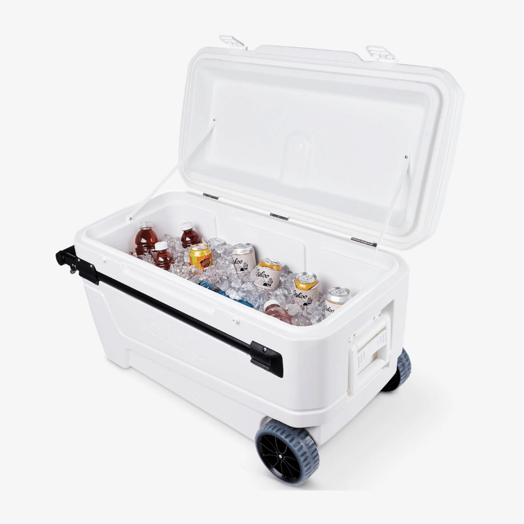 {{ title }} - Onautica