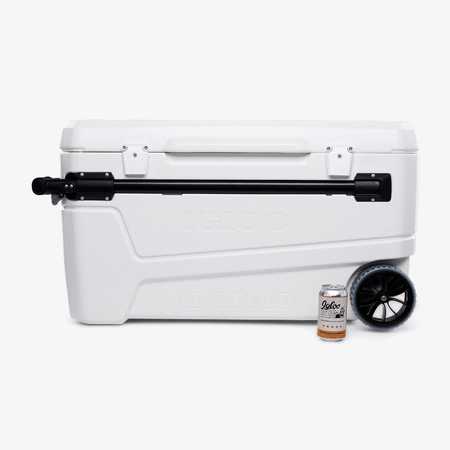 {{ title }} - Onautica