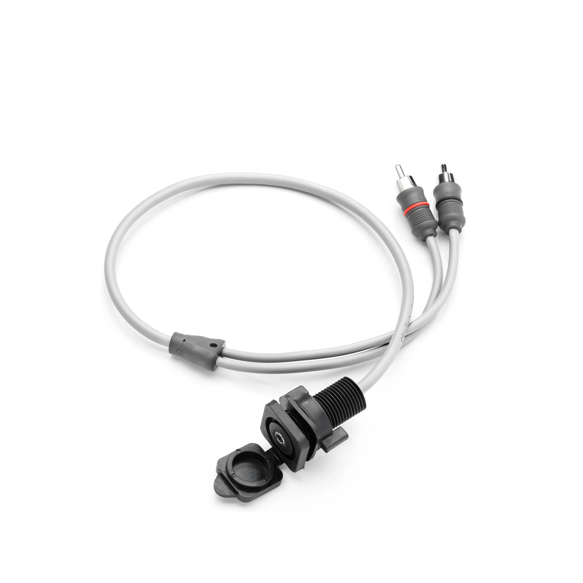 Clarion jack audio 3,5 mm da pannello con uscita RCA