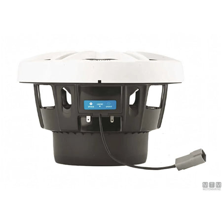 Subwoofer Clarion CMSP-101 RGB — Subwoofer completo