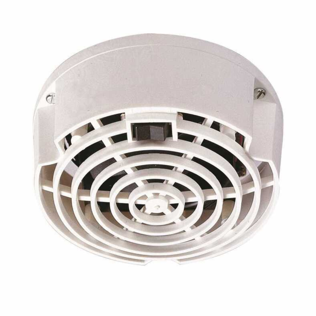 {{ title }} - Onautica