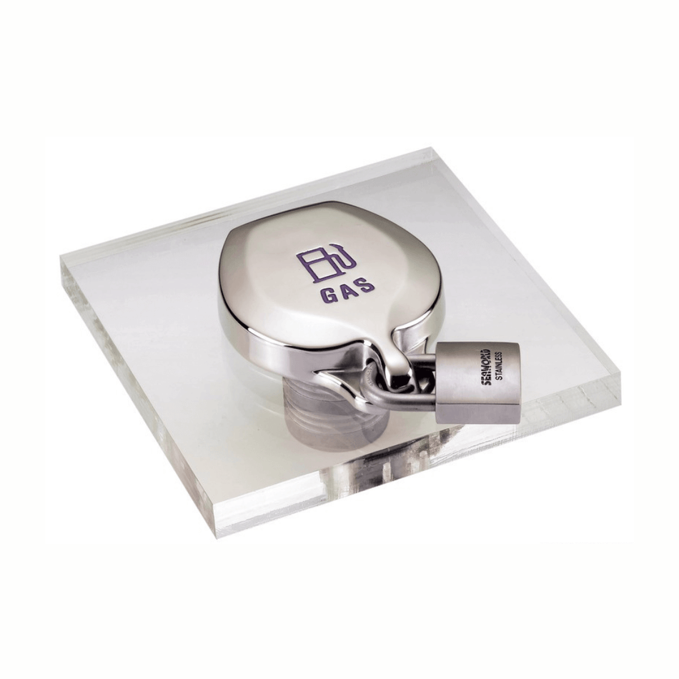 {{ title }} - Onautica