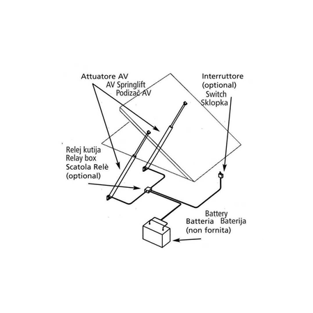 {{ title }} - Onautica