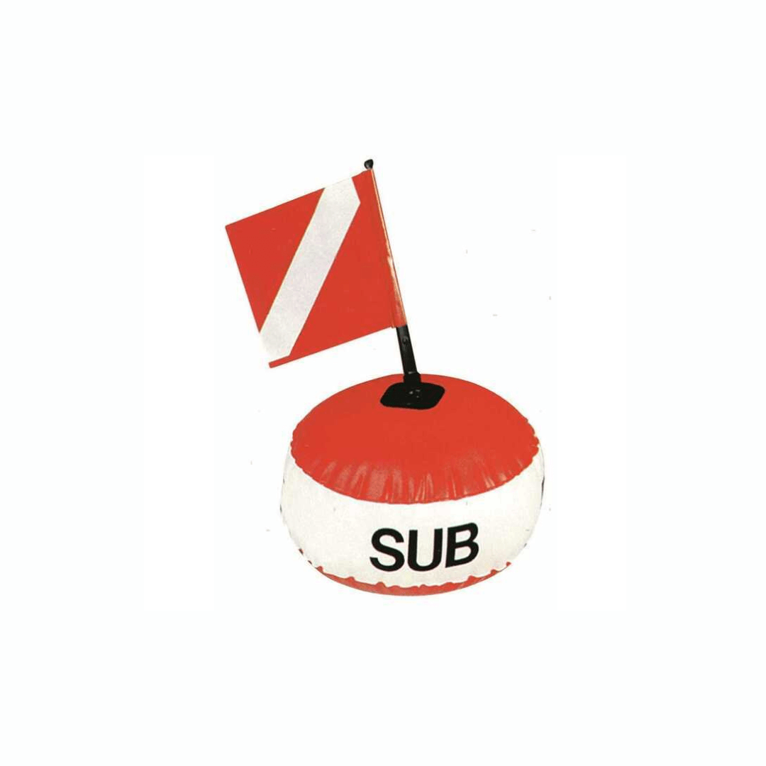 {{ title }} - Onautica