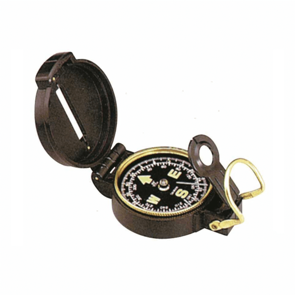 {{ title }} - Onautica