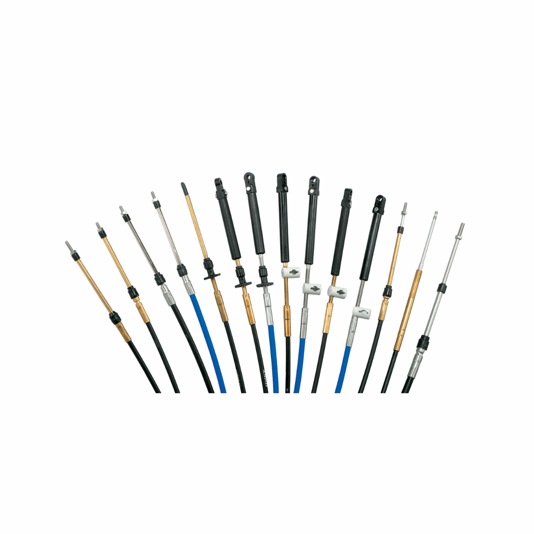 {{ title }} - Onautica