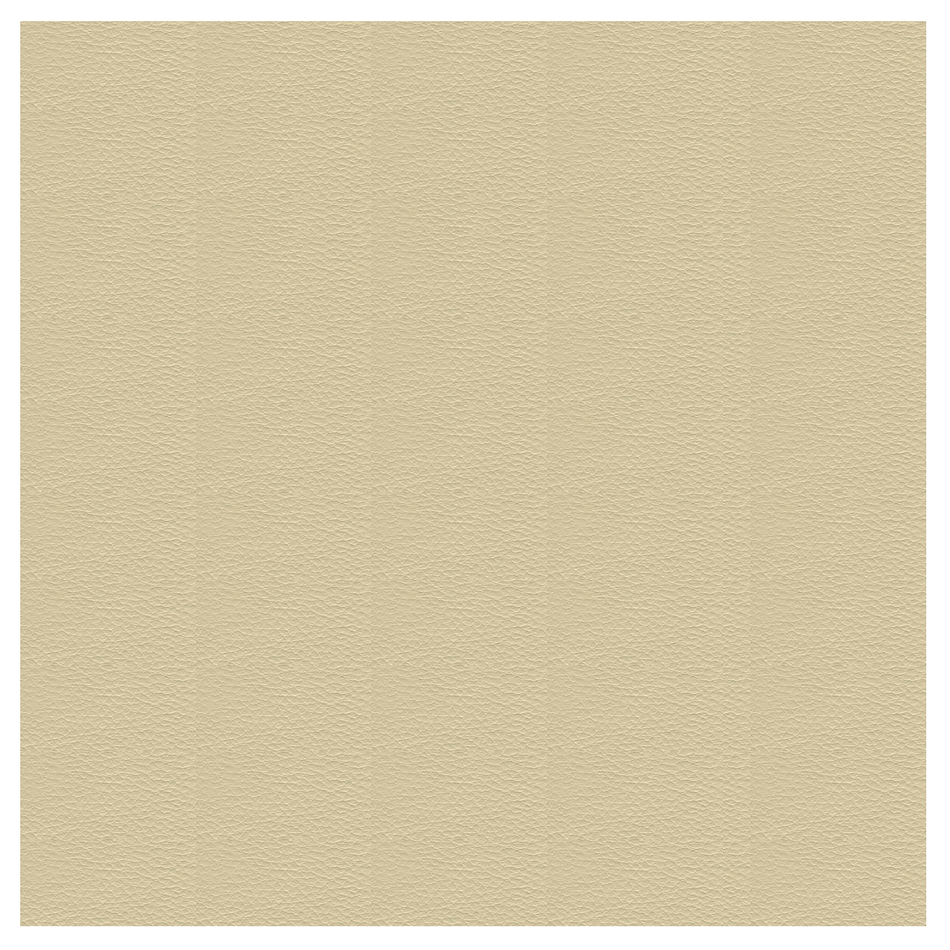 {{ title }} - Onautica