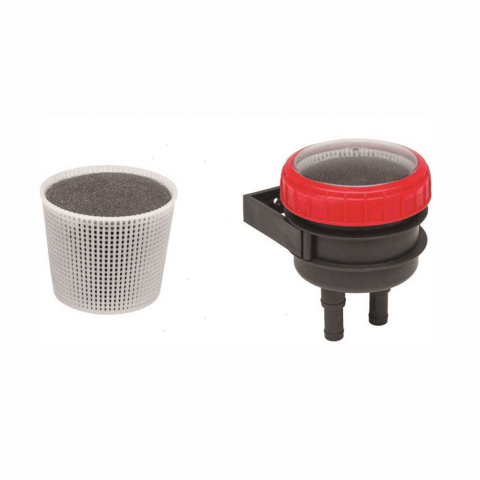 {{ title }} - Onautica