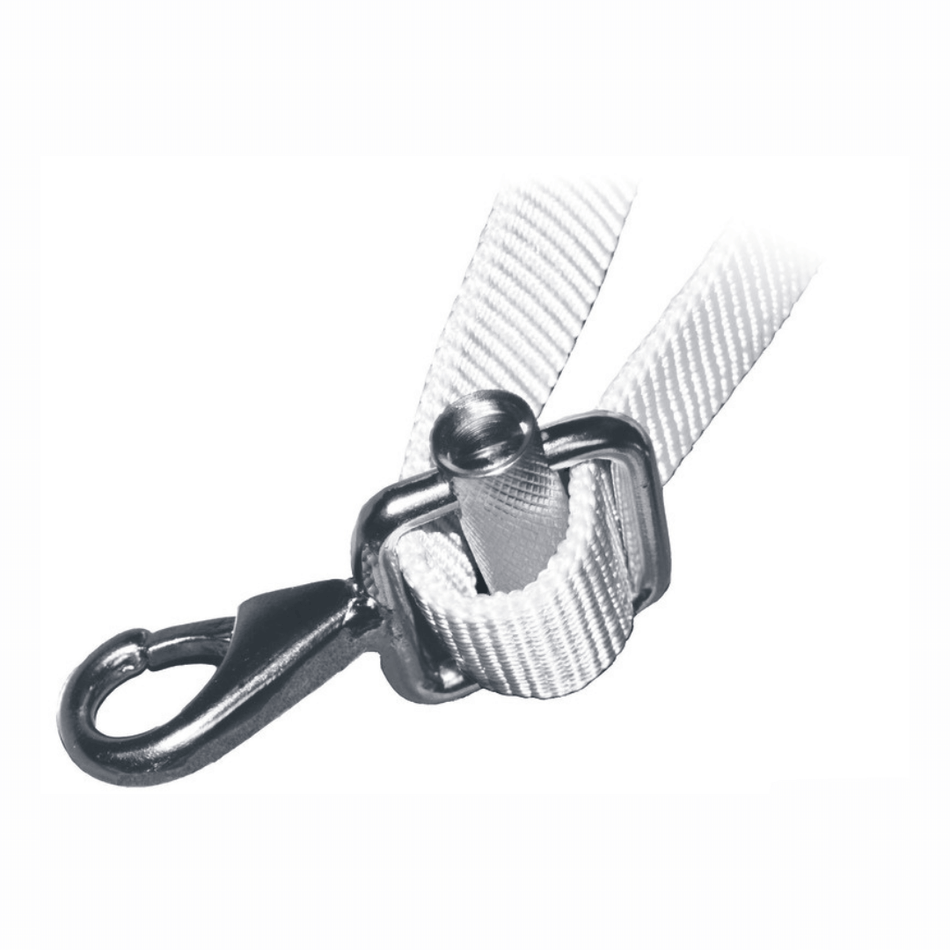 {{ title }} - Onautica