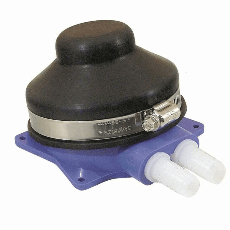 {{ title }} - Onautica