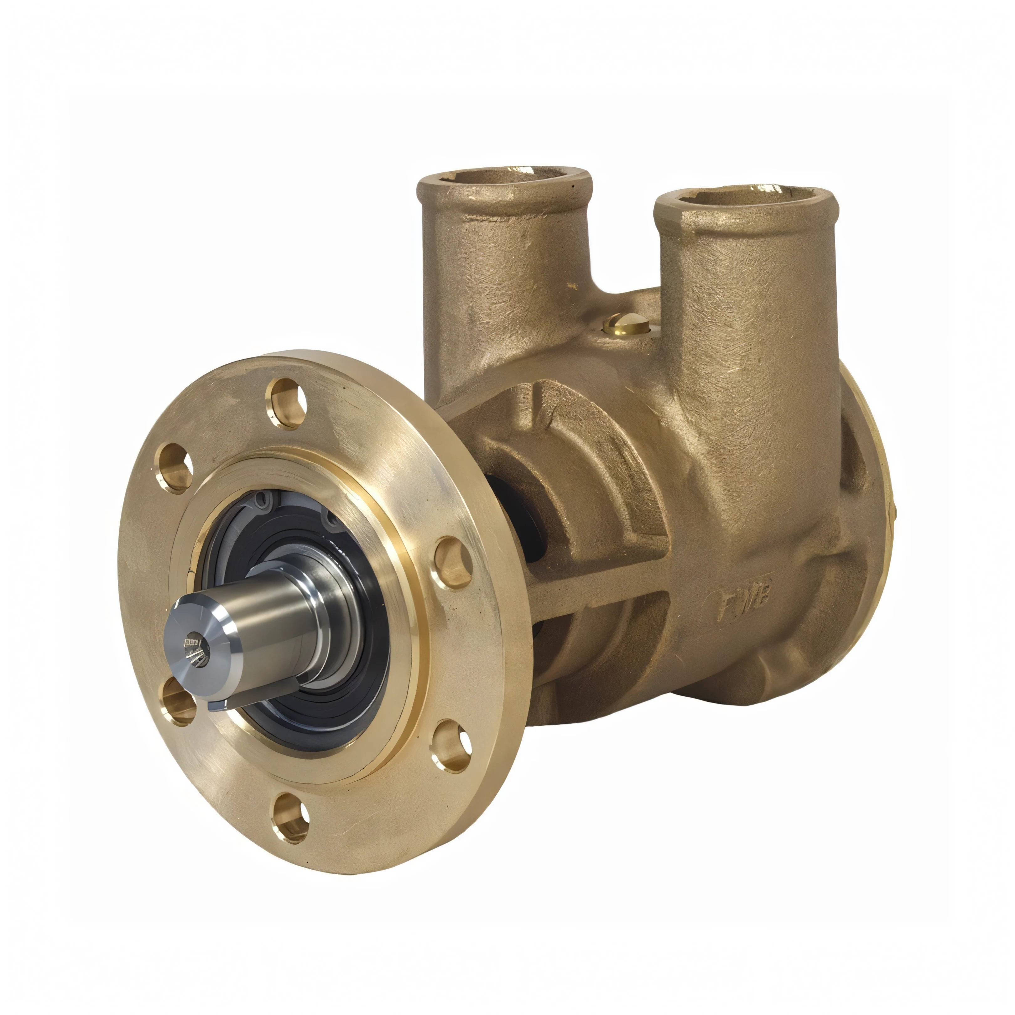 Pompa Jabsco in bronzo con montaggio a flangia misura 80