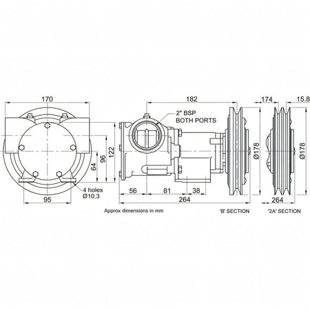 Disegno tecnico quotato della pompa Jabsco in bronzo da 2" con misure e attacchi BSP