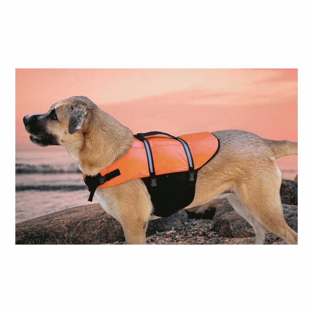 Cintura di salvataggio per cani Taglia L (25-40 Kg). Regolabile, con maniglia di recupero dorsale rinforzata. Sicurezza e galleggiamento in mare.