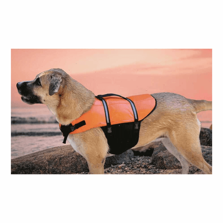 Cintura di salvataggio per cani Taglia L (25-40 Kg). Regolabile, con maniglia di recupero dorsale rinforzata. Sicurezza e galleggiamento in mare.