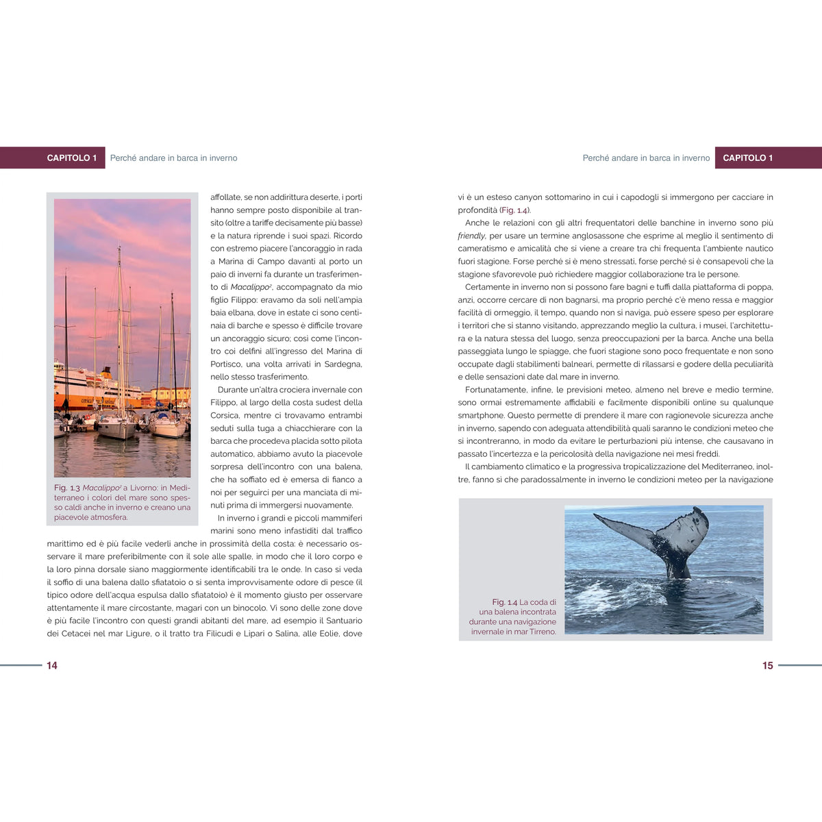 Navigare in inverno – pagina interna 6 dall'estratto dell'editore