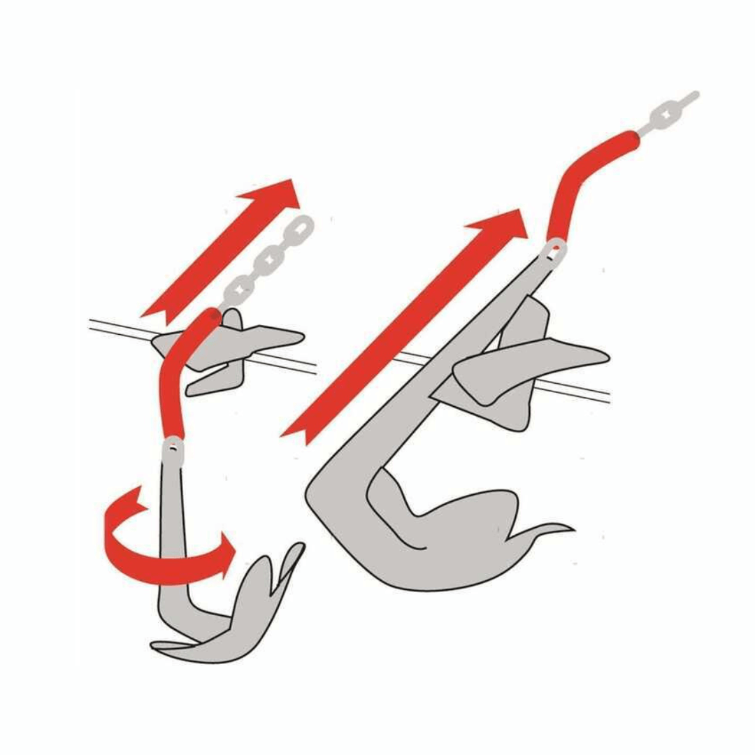 {{ title }} - Onautica