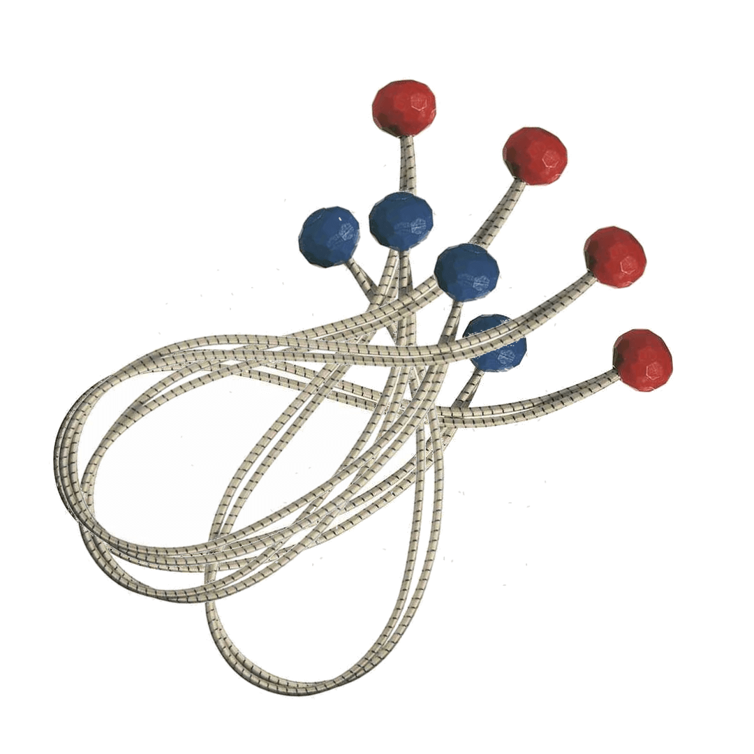 {{ title }} - Onautica